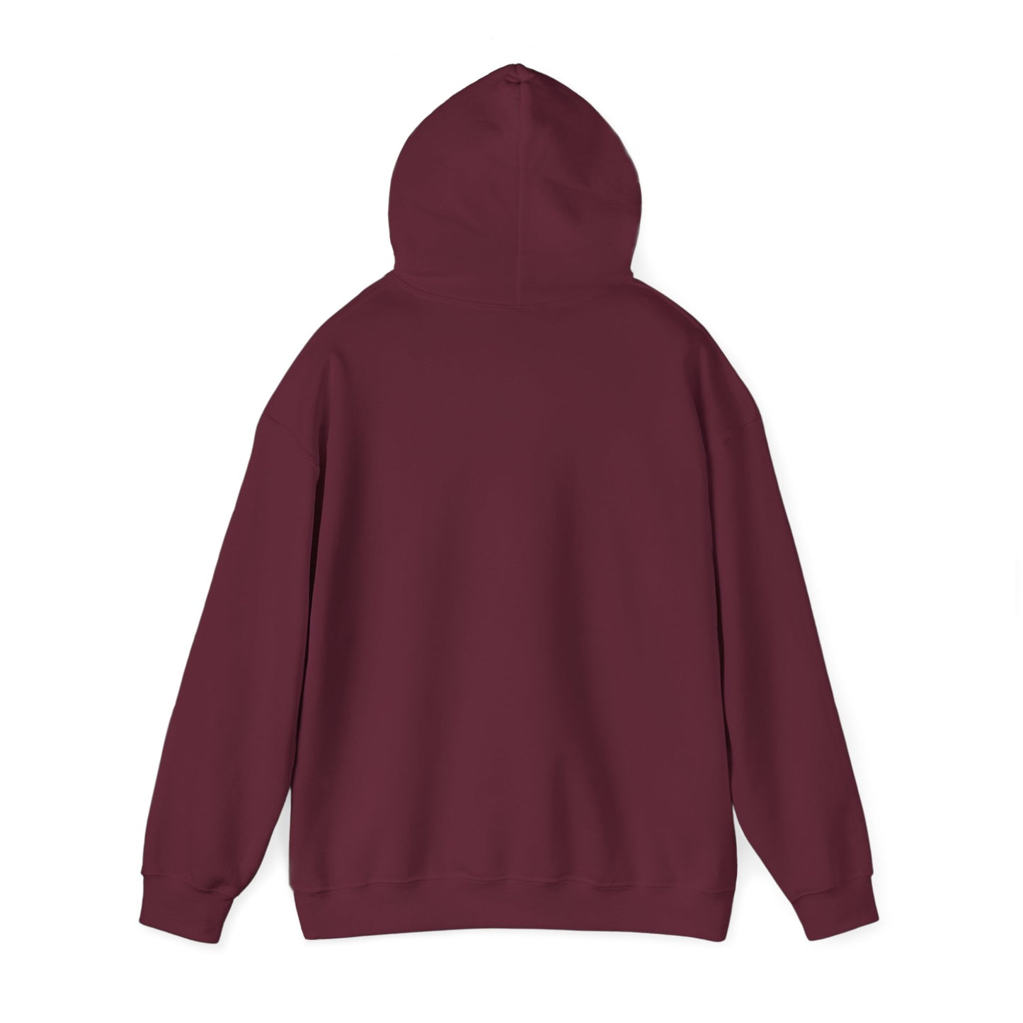 Brand New Hooded Sweatshirt